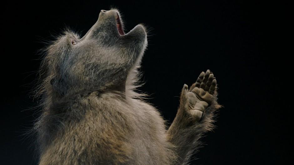 Best Sound Design (Shortlist) | AICP SHOW AWARDS 2023